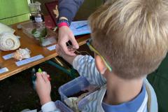 IMG-20260918-WA0011