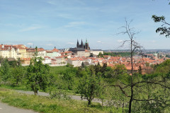 IMG-20250529-WA0032