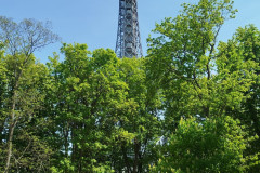 IMG-20250529-WA0035
