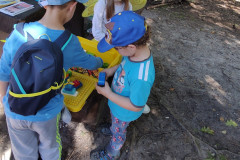IMG_20250920_125335318