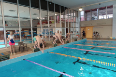 IMG_20250326_091837