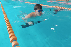 IMG_20250326_103709