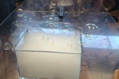 IMG-20260528-WA0146