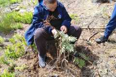 IMG-20250604-WA0027