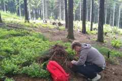 IMG-20250604-WA0039