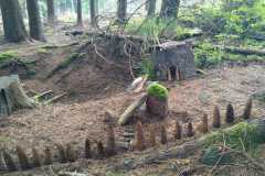 IMG-20250604-WA0041