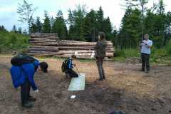 IMG-20250604-WA0050