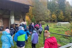 IMG-20251015-WA0040