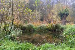 IMG-20251015-WA0043