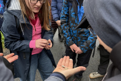 IMG_3692