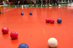 IMG-20260214-WA0052